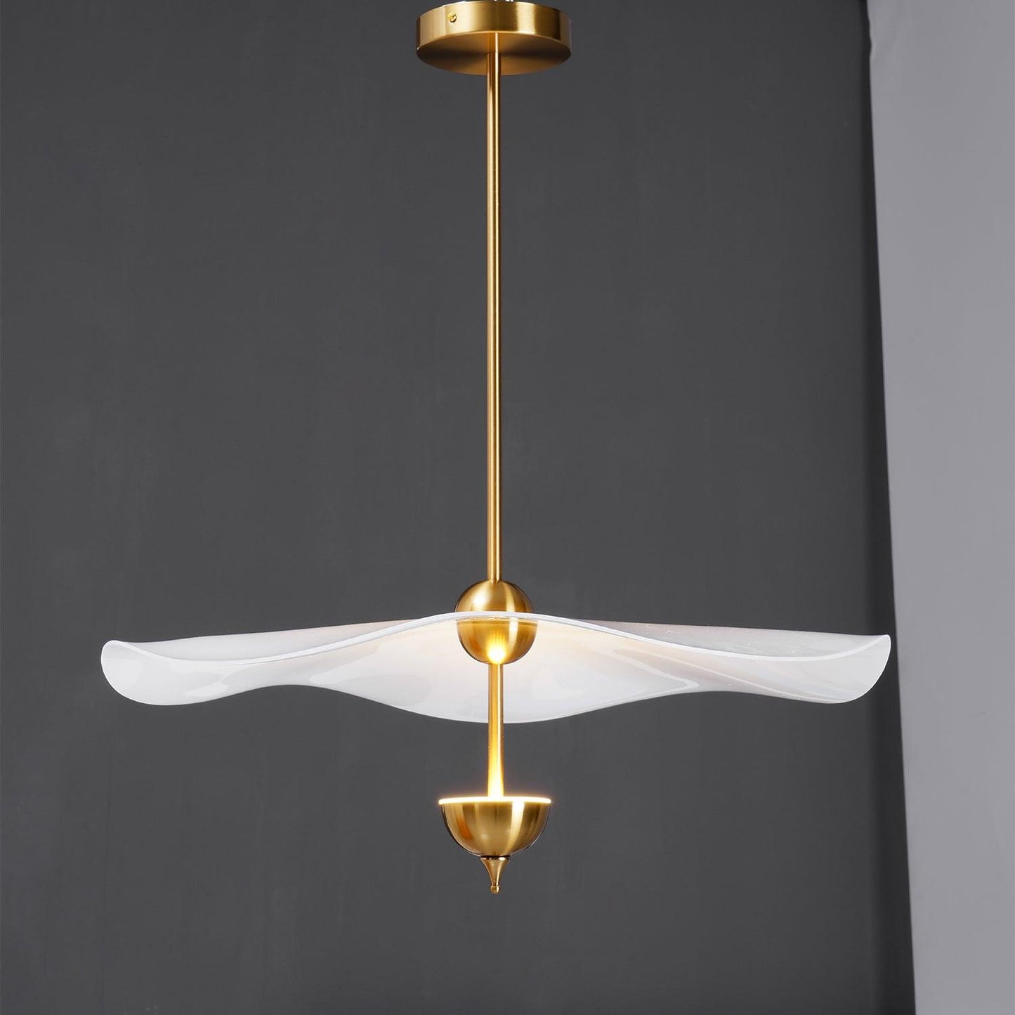 Double Biscuit Pendant Light | Modern Metal & Acrylic Hanging Lights with Adjustable LED 1