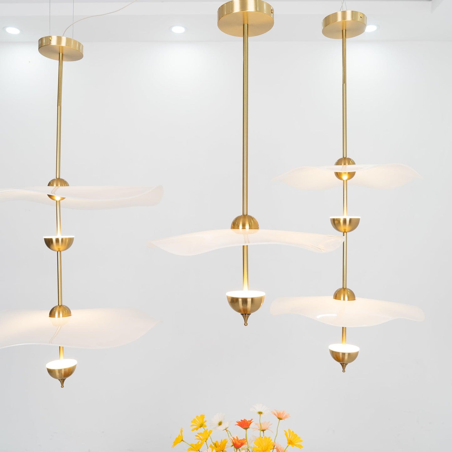Double Biscuit Pendant Light | Modern Metal & Acrylic Hanging Lights with Adjustable LED 5