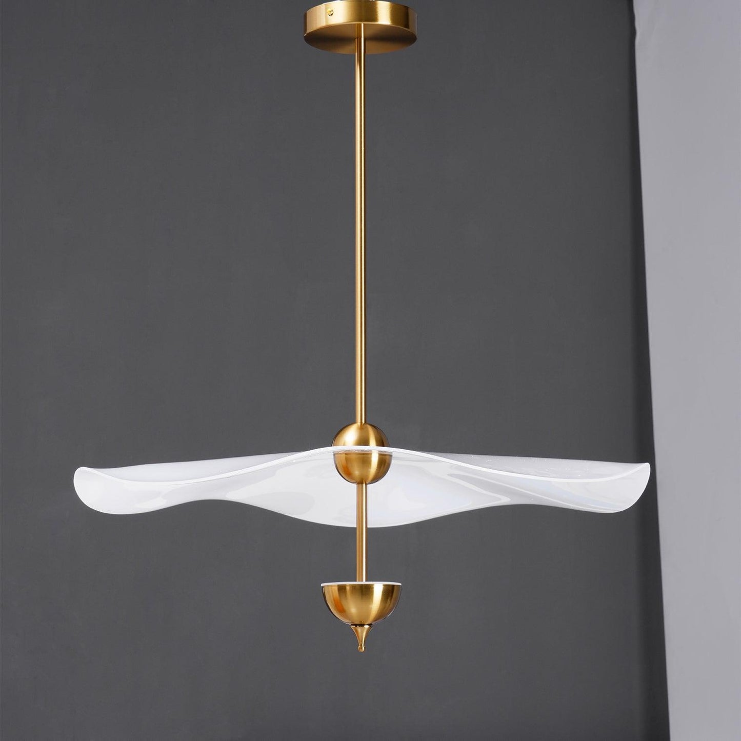 Double Biscuit Pendant Light | Modern Metal & Acrylic Hanging Lights with Adjustable LED 10