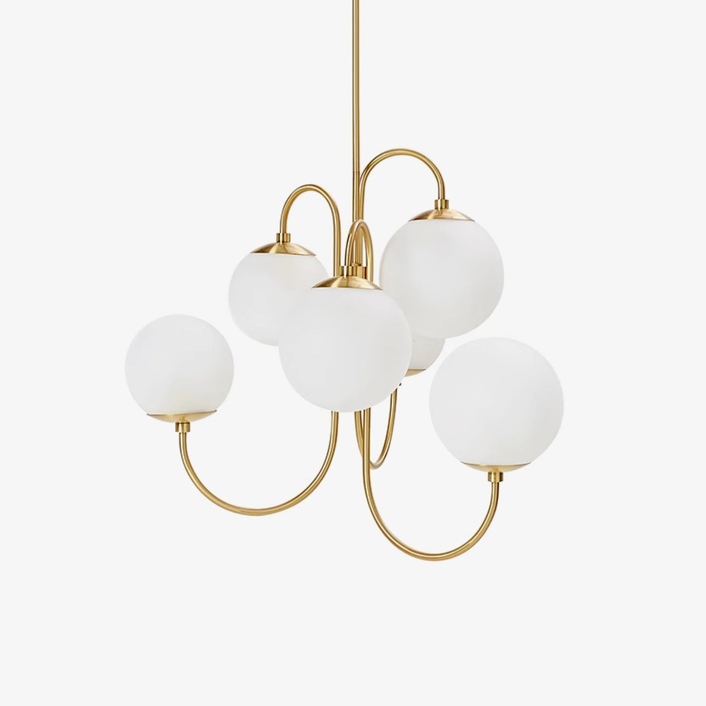 Modern Gooseneck Chandelier | Elegant Wrought Iron with Glass Shades 2