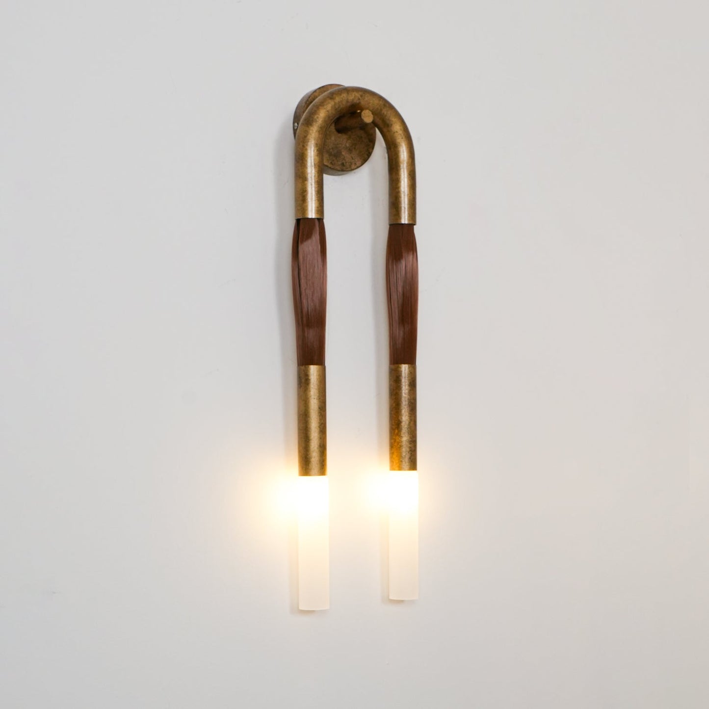 Horsehair Wall Sconce | Elegant Wrought Iron and Glass Design 3