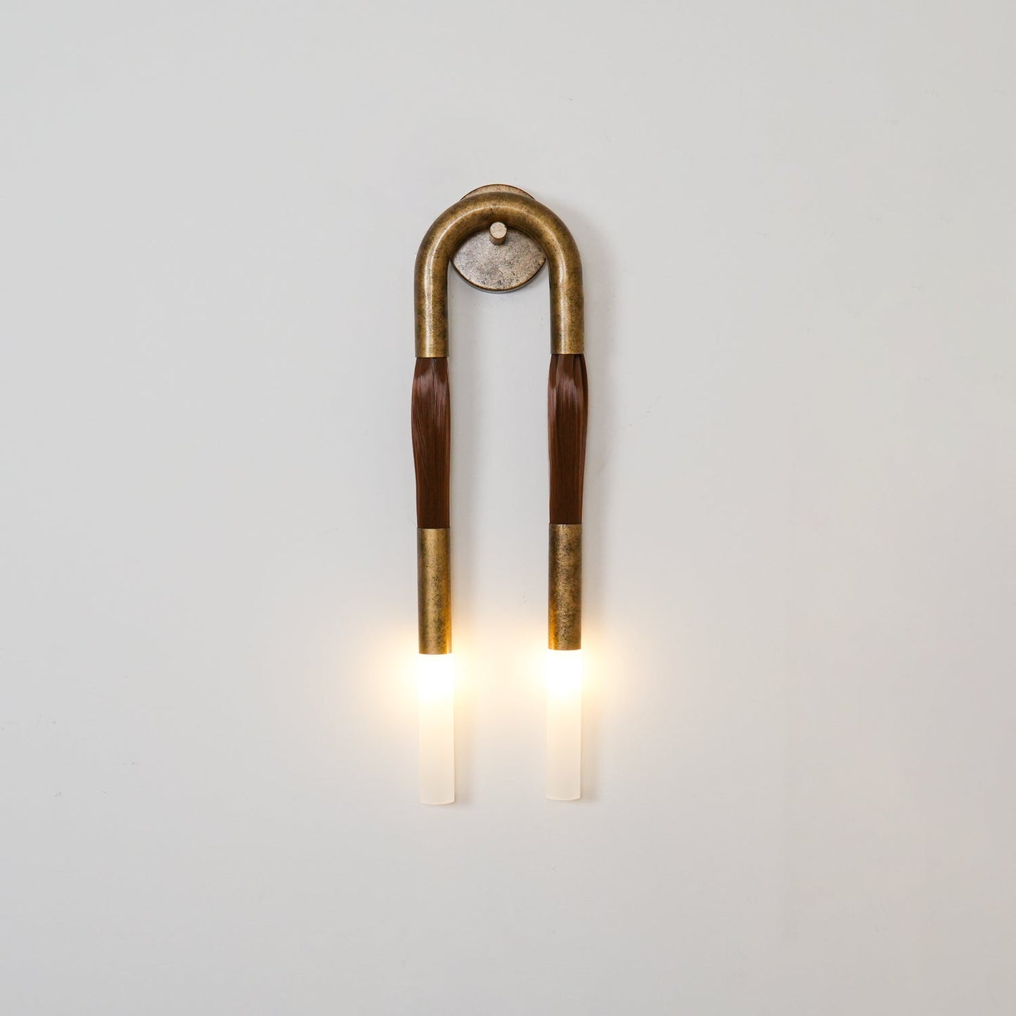 Horsehair Wall Sconce | Elegant Wrought Iron and Glass Design 6