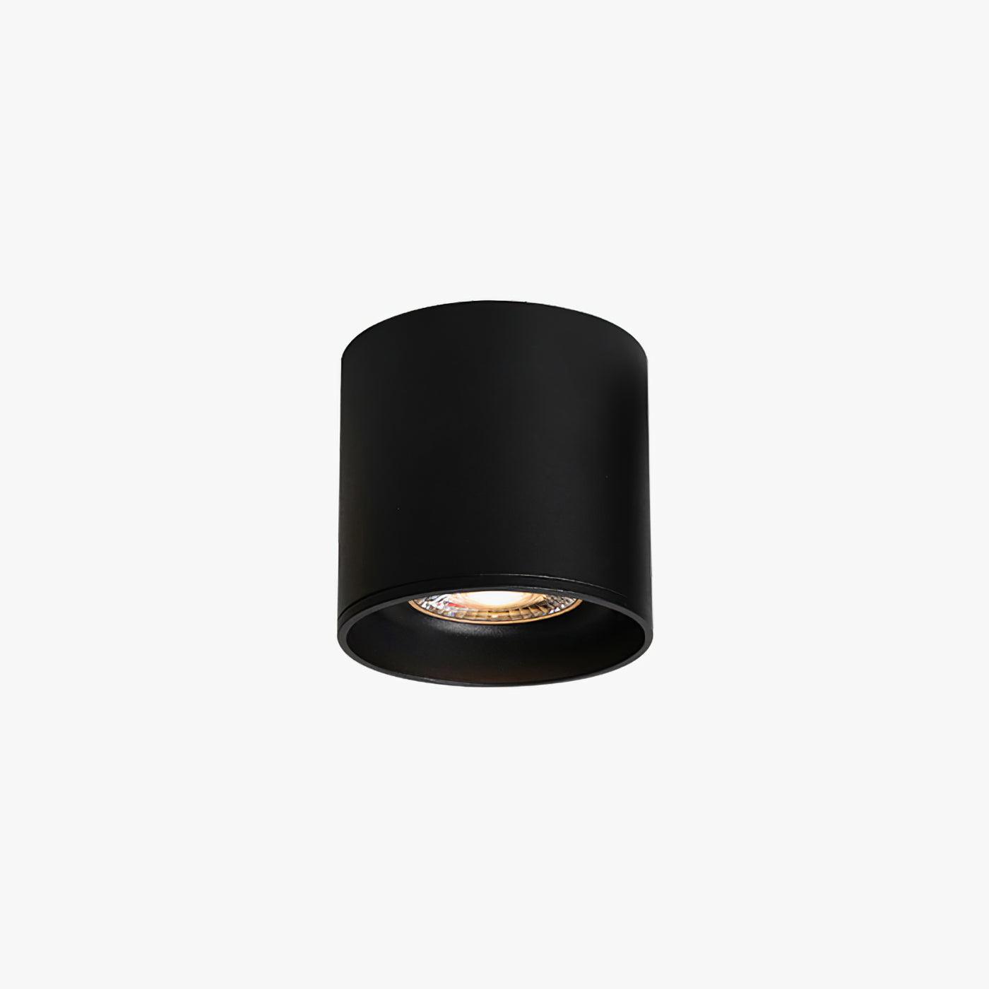 Flush Mount Ceiling Light | Modern Aluminum Design with LED Lens 1