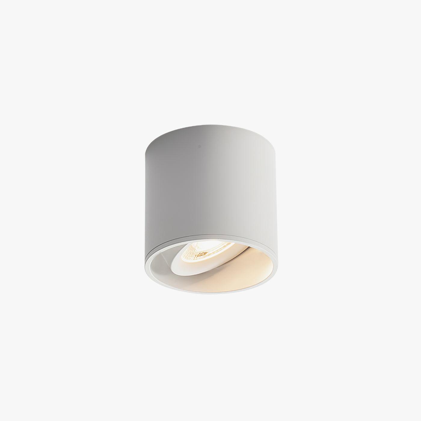 Flush Mount Ceiling Light | Modern Aluminum Design with LED Lens 9
