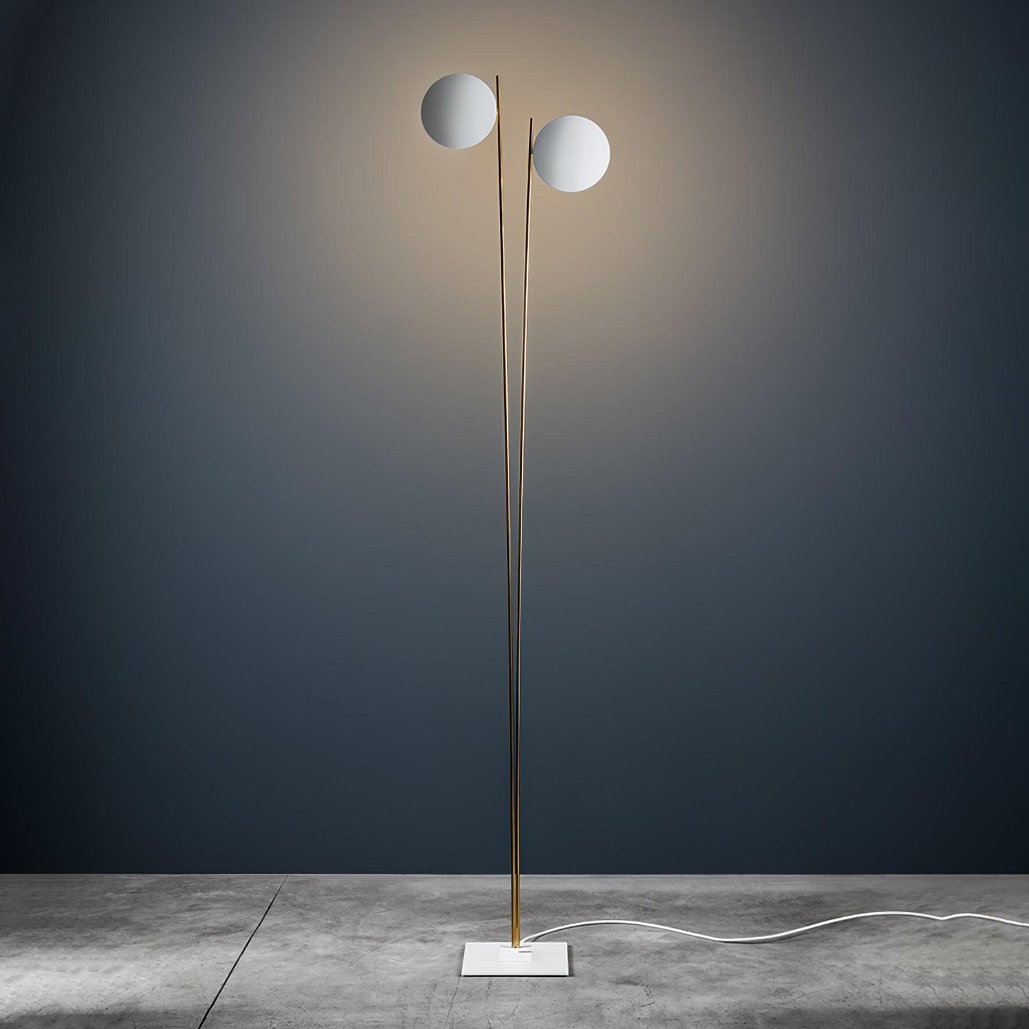 Modern Floor Lamp | Integrated LED for Elegant Living Room Lighting 13
