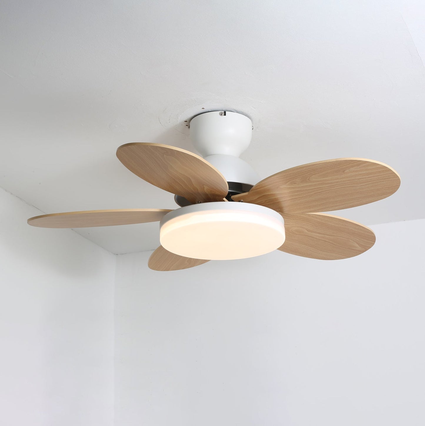 Ceiling Fan Light | Elegant Flower Petal Design with LED Lighting 11