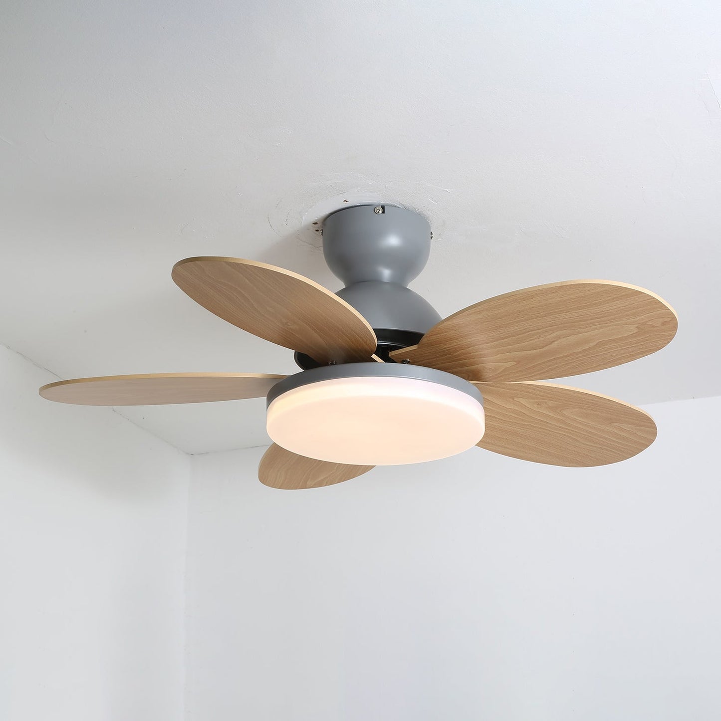 Ceiling Fan Light | Elegant Flower Petal Design with LED Lighting 6