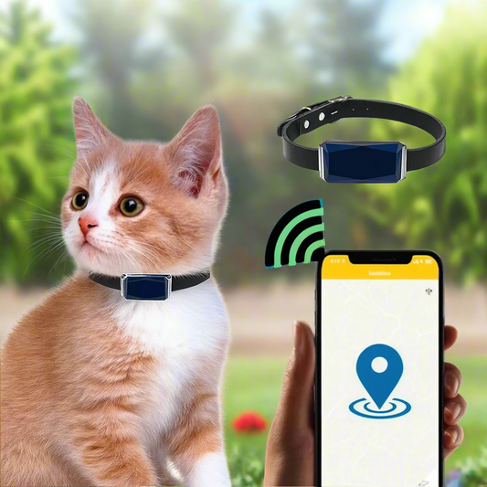 GPS Cat Tracker Collar | Real-Time Tracking with Mobile App 0