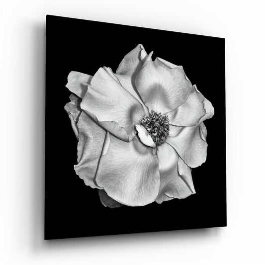 Flower Glass Wall Art