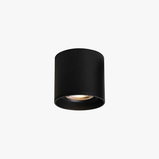 Flush Mount Ceiling Light | Modern Aluminum Design with LED Lens 1