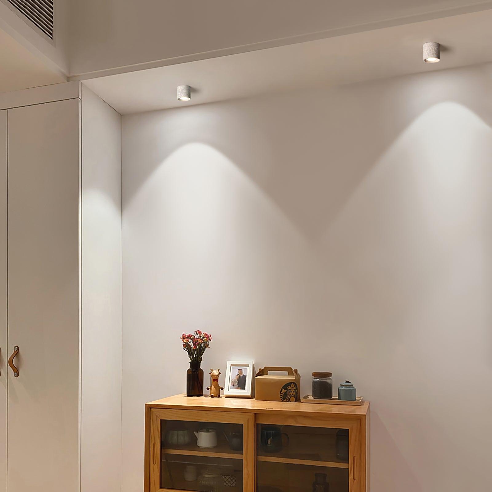 Flush Mount Ceiling Light | Modern Aluminum Design with LED Lens 4