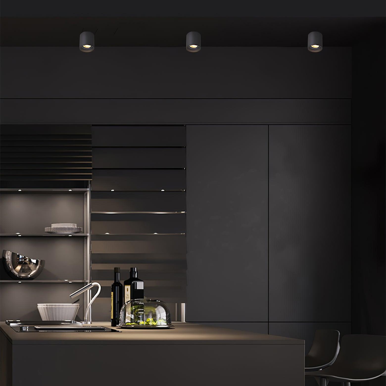 Flush Mount Ceiling Light | Modern Aluminum Design with LED Lens 6