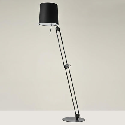 Modern Floor Lamp | Adjustable Two-Tone Design for Living Room Ambiance 9