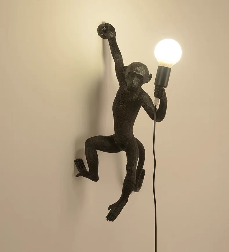 Wall Light | Whimsical Resin Monkey Wall Sconce with Hemp Rope 2