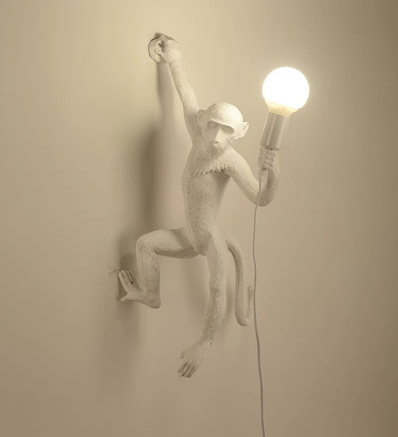 Wall Light | Whimsical Resin Monkey Wall Sconce with Hemp Rope 4